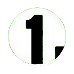 norvec-1-lig-kadinlar
