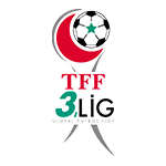 3-lig-2-grup